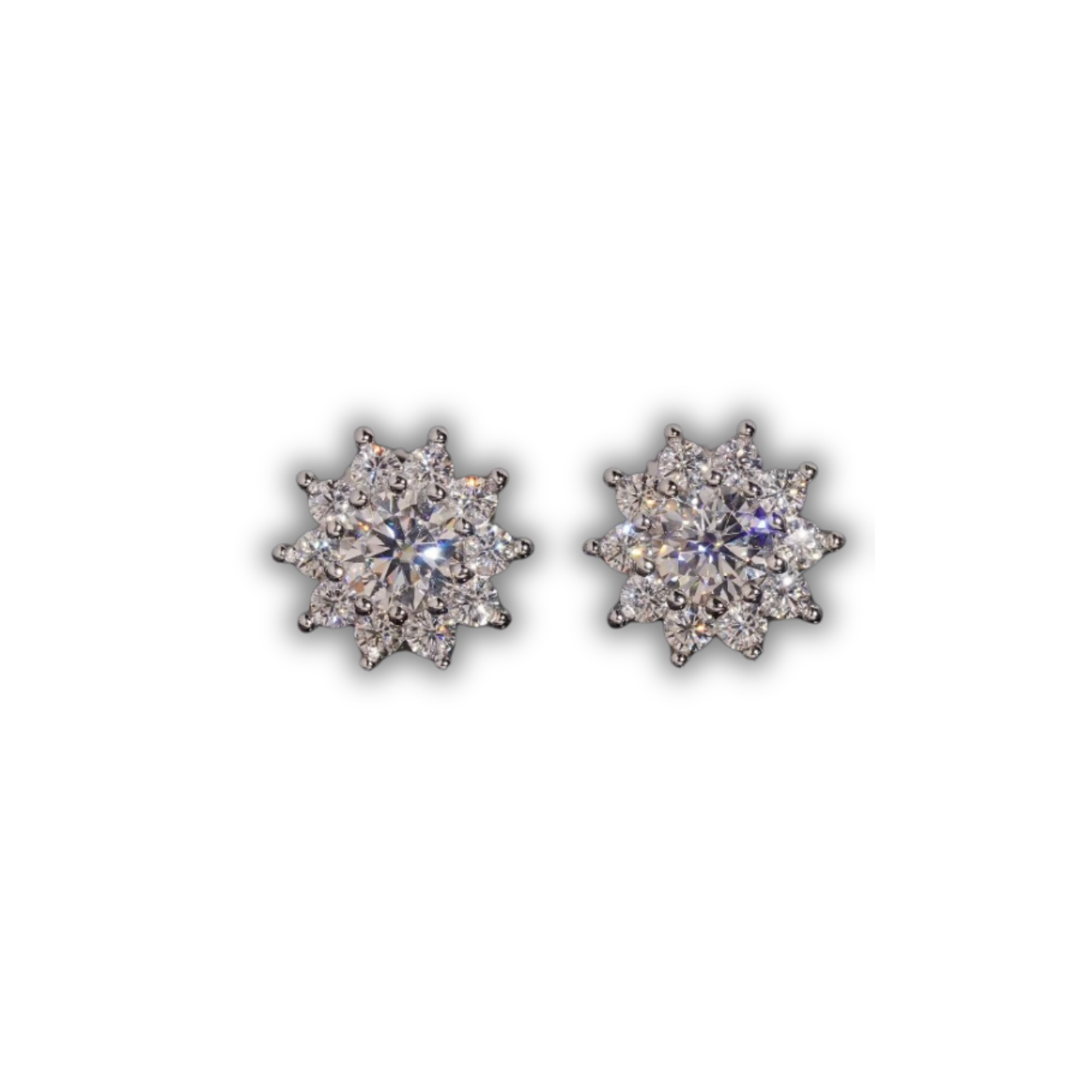 Snowflake Earrings